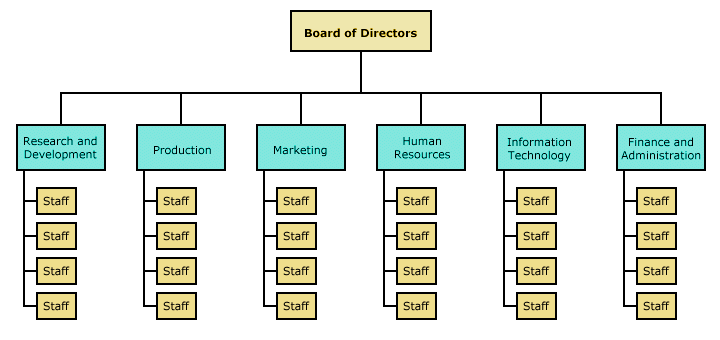 A typical functional organisational structure