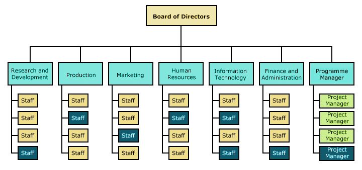 A typical matrix organisational structure