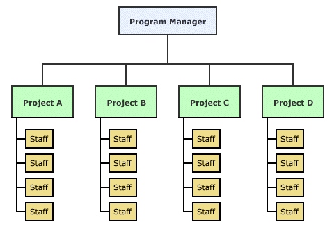 The project organisational structure