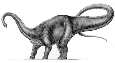 Diplodocus