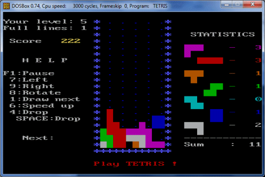 The original IBM PC version of Tetris, available from Vadim Gerasimov's website
          (http://vadim.oversigma.com)