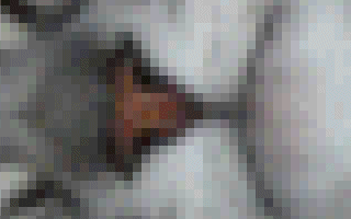 Close-up view of 320 x 200 pixel image