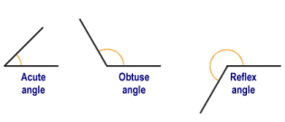 All of the above types of angles are oblique angles