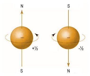 An electron has a spin quantum number of -1/2 or +1/2