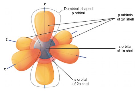 The 2n electron shell is the first to contain p orbitals