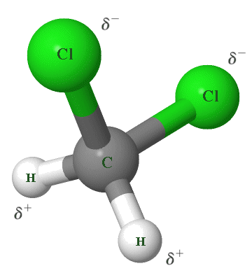 A dichloromethane (CH2Cl2) molecule