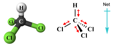 The trichloromethane (CHCl3) molecule is polar