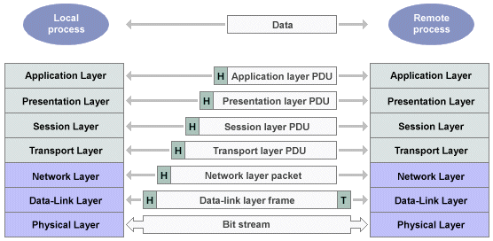 Data transmission in the OSI Reference Model