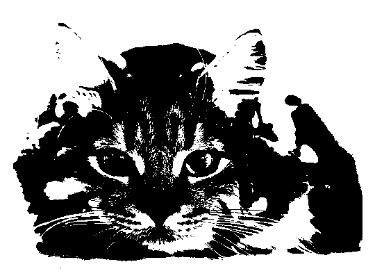 A digital image of a cat with a colour depth of 1 bit per pixel