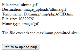 The file exceeds the maximum permitted size