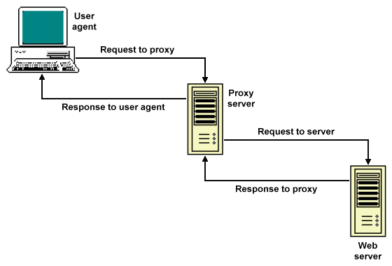 A proxy server relays client requests to a web server